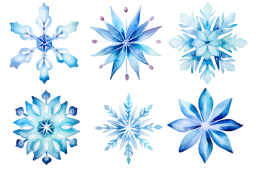 Watercolor soft crystal blue flower snowflake clipart element set