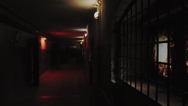 This stock video shows a long gloomy corridor with bars on the windows and heavy doors of the prison. This video will decorate your projects related to places of detention, prisons, quests.