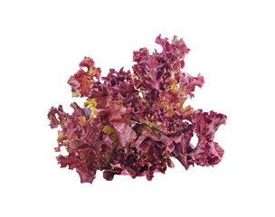 red lettuce transparent png