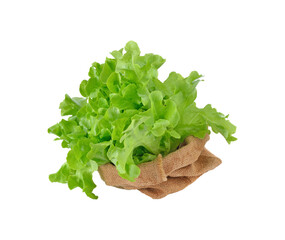 Fresh green lettuce leafs transparent png