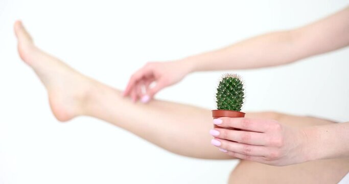 Woman holding cactus in hand against background of smooth delicate skin of legs closeup 4k movie slow motion. Laser epilation skincare concept
