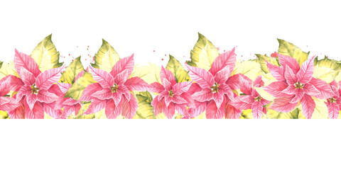 Watercolor painted seamless border, pattern of pink yellow Poinsettia Pulcherrima flowers and leaves, splashes Plant illustration for Christmas, New Year card, wrapping paper Isolated white background