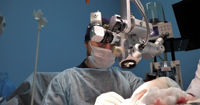 Focused veterinary ophthalmologist performs major surgery on an animal's eye in a veterinary clinic. Professional eye microsurgery for a pet. Concept of eye surgery on an animal.