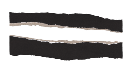 Set of torn and ripped paper stripes, lines with double edges from black paper in Y2K retro style, png isolated pieces on transparent background for text banner, mockups, textures, frame decoration