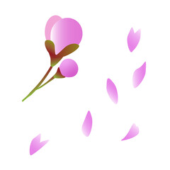 桜のつぼみと花びらのグラフィックなイラストセット