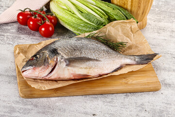 Raw dorada fish served rosemary
