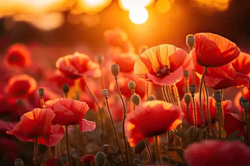 Schilderijen op glas Poppy field at sunset, vibrant reds, soft light, dreamy background © Nino Lavrenkova