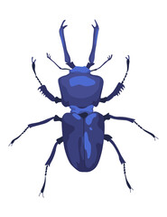 Male European stag beetle. Lucanus cervus insect vector icon