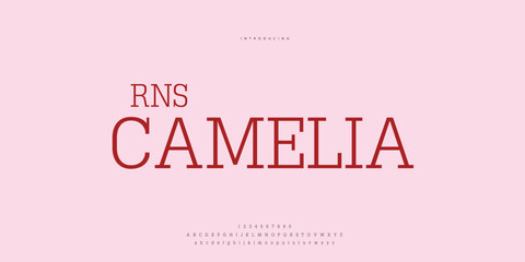 Hand drawn elegant alphabet letters font and number. Classic Lettering Minimal Fashion Designs. Typography modern Sen serif fonts regular decorative vintage concept. vector illustration © SyedMuhammad