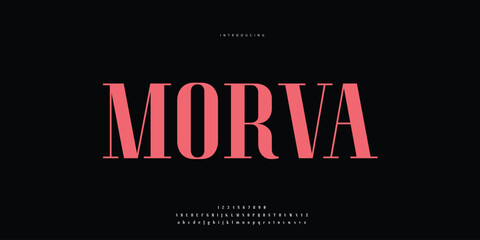 Hand drawn elegant alphabet letters font and number. Classic Lettering Minimal Fashion Designs. Typography modern Sen serif fonts regular decorative vintage concept. vector illustration © SyedMuhammad