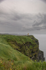 Cliffs on the sea with green meadow, cloudy sky and castle in the background