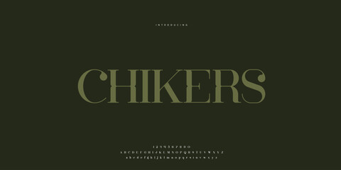 Hand drawn elegant alphabet letters font and number. Classic Lettering Minimal Fashion Designs. Typography modern Sen serif fonts regular decorative vintage concept. vector illustration © SyedMuhammad