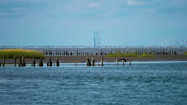 Shallows on the Danish coast. A bird flies and lands on the wooden pole. Industrial buildings wrapped in haze in the background. Parallax video.