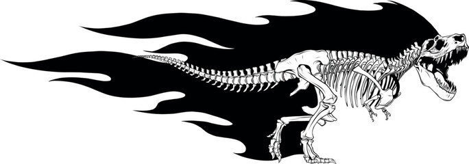 vector Tyrannosaurus Rex dinosaur skeleton outline illustration