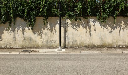 Black metal pole on concrete sidewalk. Weathered plaster surrounding wall with creeper plant on...