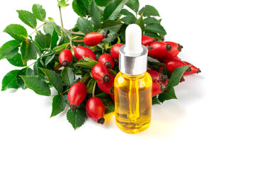 Wild Rose Essential Oil, Rose Hip Extract, Rosehip Extraction, Dog Rose Infusion, Dogrose Oil