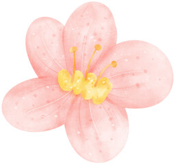 cute Pink flower cartoon watercolor