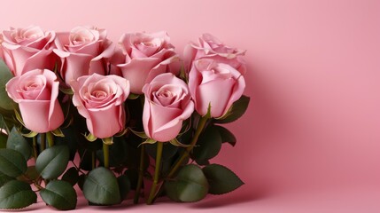 Fototapeta premium Red Rose On Pink Background, HD, Background Wallpaper, Desktop Wallpaper 