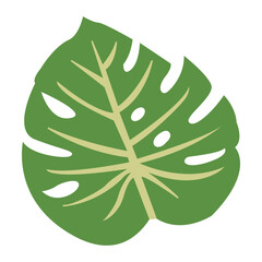 Monstera Leaf Illustration