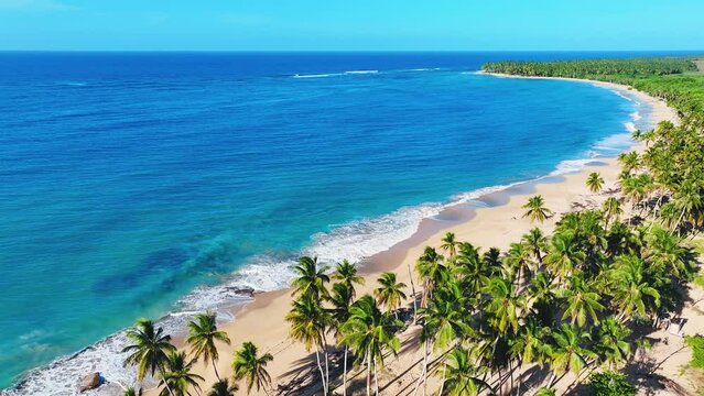 Aerial view of the Mexican Palm Beach on a sunny summer day. Beautiful tropical Caribbean coastline in Tulum in Quintana Roo, Riviera Maya, Cancun. Nature landscape of a sea island.