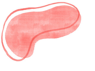 Abstract watercolor stain organic freeform shape with line