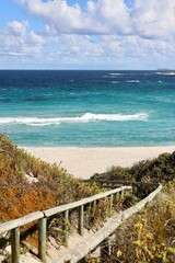 Scenic view of the beach at the edge of a cliff, surrounded by lush vegetation in Western Australia