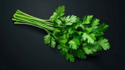 fresh parsley on a black background