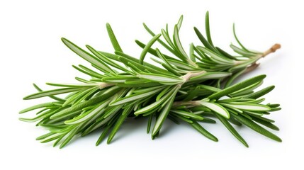 rosemary isolated on a white background