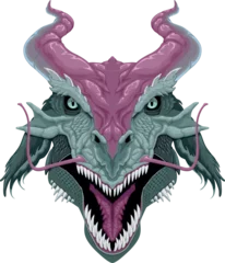 Poster Im Rahmen Dragon head, vector isolated animal  © ddraw