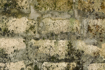 The concrete wall floor is old and worn out and has mold growing on it.