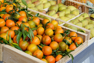 Local market. Boxes with tangerines. Fresh mandarin oranges or tangerines fruit with leaves in boxes at the open air local food market. Wholesale depot of exotic fruits.