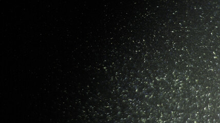 Silver Glitter Bokeh - Sleek and Elegant Shimmering Effects for Sophisticated Design Projects, Ideal for Creating Stylish and Luxurious Visuals