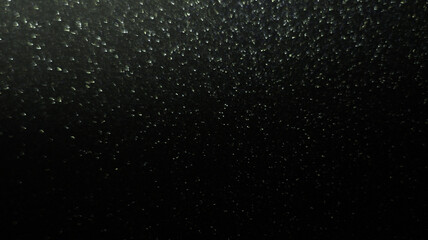 Silver Glitter Bokeh - Sleek and Elegant Shimmering Effects for Sophisticated Design Projects, Ideal for Creating Stylish and Luxurious Visuals