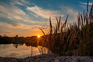 This image evokes a rustic charm, featuring tall reeds silhouetted against the warm glow of the setting sun. The sun, peeking just above the horizon, scatters its rays, creating a starburst effect