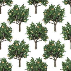 Fototapeta premium Seamless pattern with pear trees