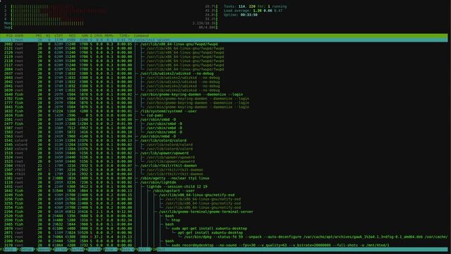 Hacker computer screen matrix
