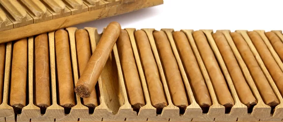 Foto auf Leinwand Cigars with Press on white Background © ExQuisine