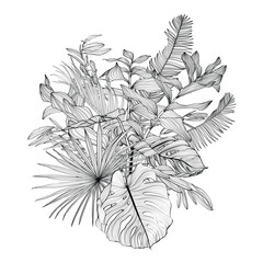 Floral bouquets with line hand drawn herbs, tropical palm leaves and insects in sketch style.