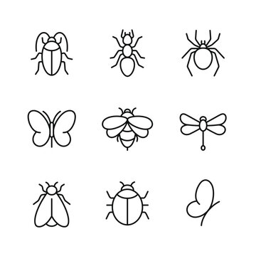 Insects icon set isolated on white background