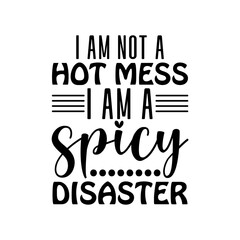 i am not a hot mess i am a spicy disaster