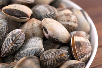 Fresh clams on the plate