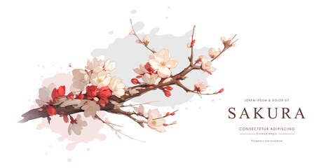 Greeting card template of сherry blossom flowers and branches in vector watercolor style. 