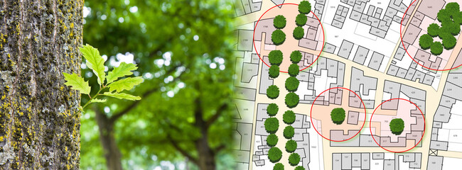 Census of singol, group or row trees in cities - green management and tree mapping concept with...