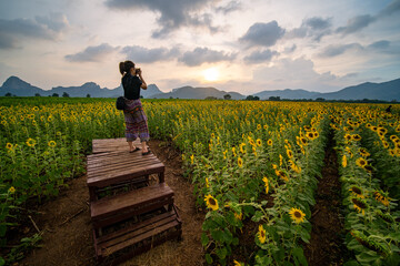 A woman standing in the stand taking photo of sun flower field with mountain and sunset in Lopburi...