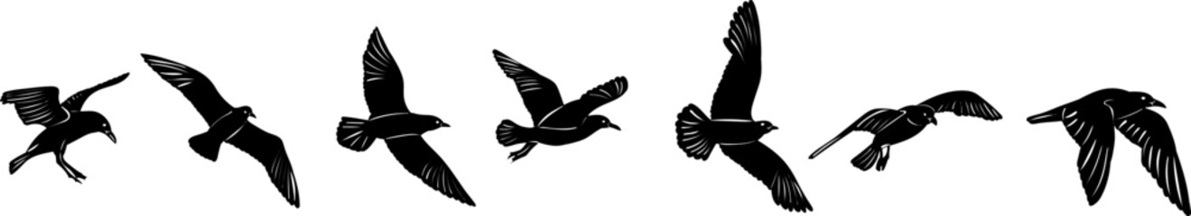 flying birds silhouette on white background vector