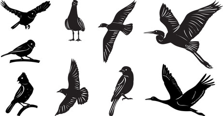 set of birds silhouette on white background vector