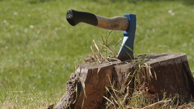 Man sticks axe into tree stump 