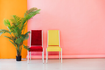 chairs and green plant in the interior of a pink orange room