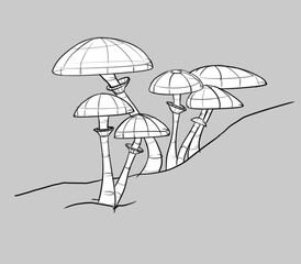 mushroom scheme, body of mushroom isolated on white background
