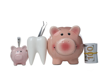 PNG, Tooth with dental instruments, piggy banks and money, isolated on white background